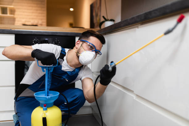 Wasp Removal Services in Hines, OR