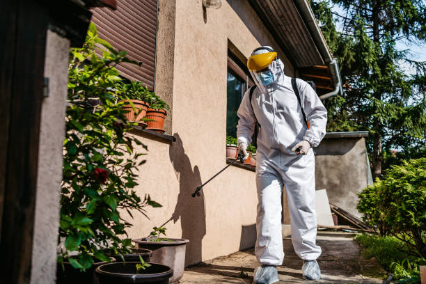 Best Mosquito Control Services  in Hines, OR