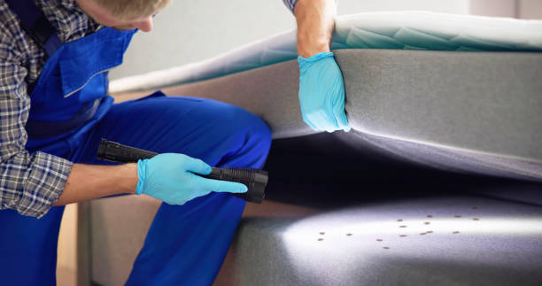 Best Bed Bug Extermination  in Hines, OR
