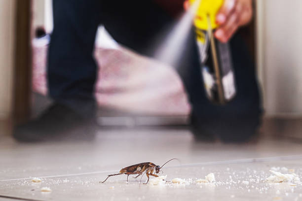 Best Rat Extermination Near Me  in Hines, OR