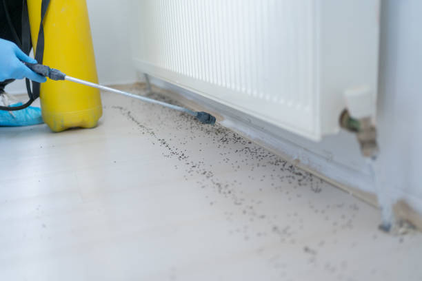 Best Commercial Pest Control Services  in Hines, OR