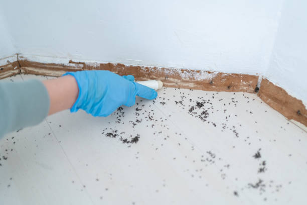 Best Best Pest Control Companies  in Hines, OR