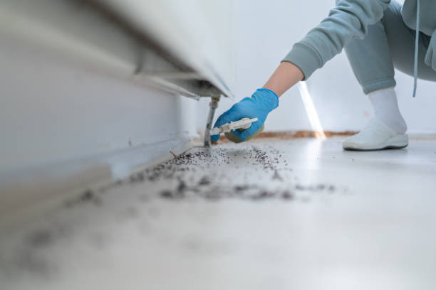 Best Pest Removal Services  in Hines, OR